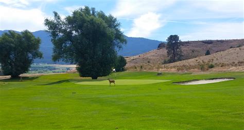 alpine-meadows-country-club