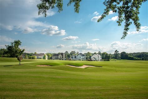 back-new-course-at-forest-creek-golf-club