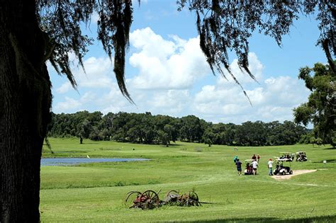 blue-course-at-town-country-rv-resort-golf-club