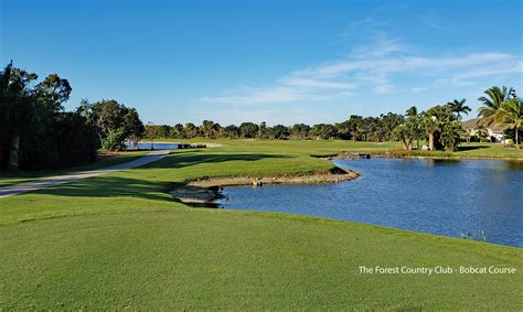 bobcat-course-at-forest-country-club