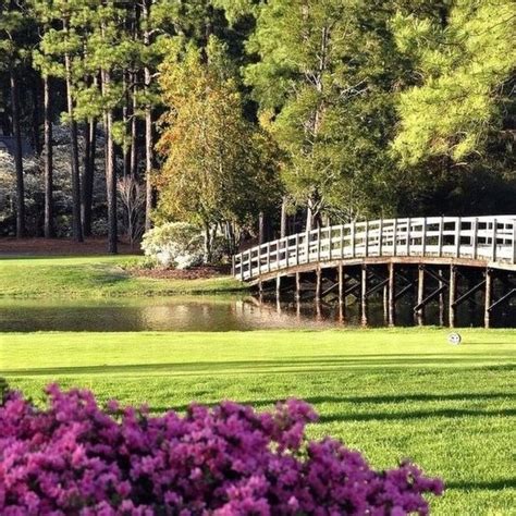 cardinal-course-at-country-club-of-north-carolina