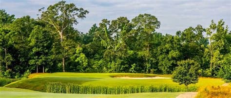 cypress-course-at-country-club-of-jackson