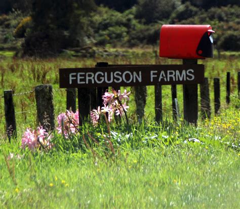 ferguson-farms-golf