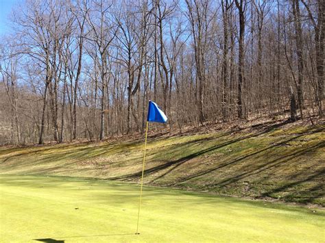 flag-tree-golf-course