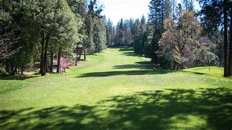 forest-meadows-golf-course