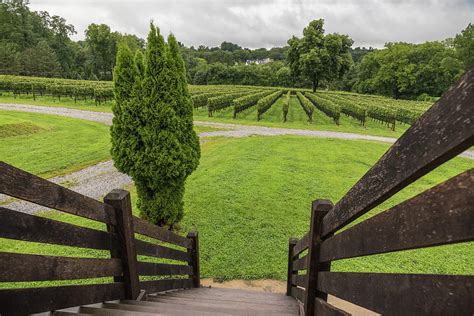 grows-vineyard-greens-closed-for-renovation