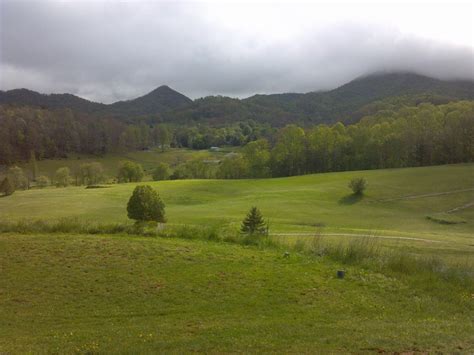 iron-tree-golf-course