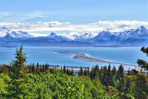 kachemak-bay-lynx-golf