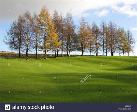 larch-tree-golf-course