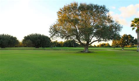 live-oak-rv-golf-course