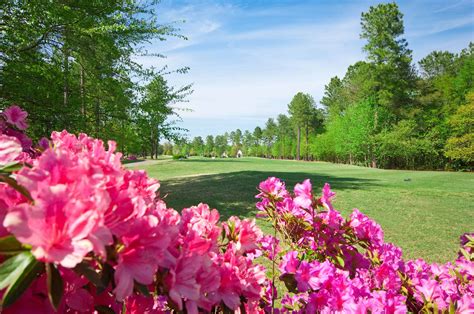 magnolia-camellia-course-at-magnolia-greens-golf-plantation