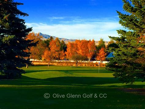 olive-glenn-golf-country-club