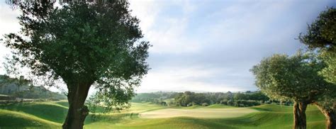 olive-grove-golf-course