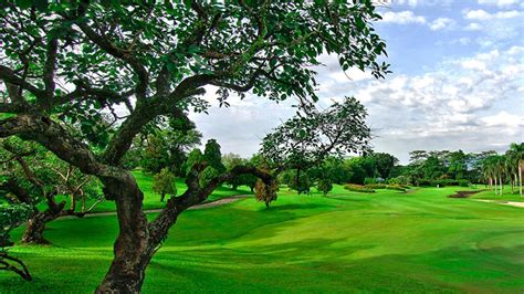 palm-view-hills-golf-course