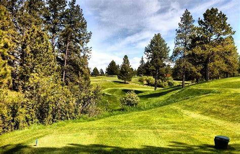 pine-meadows-golf-club