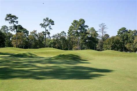 pine-palmetto-course-at-longwood-golf-club