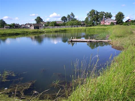 ponds-at-lake-grove