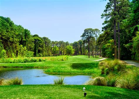 robert-cupp-course-at-palmetto-hall-plantation