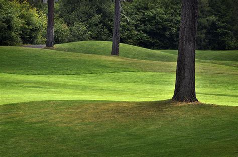 rolling-green-fairways