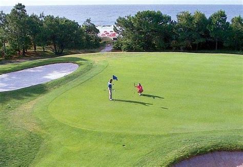 shelter-cove-golf-course