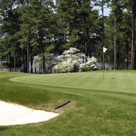 tall-oaks-dogwood-course-at-island-green-country-club