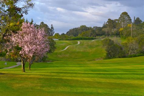 tayman-park-municipal-golf-course