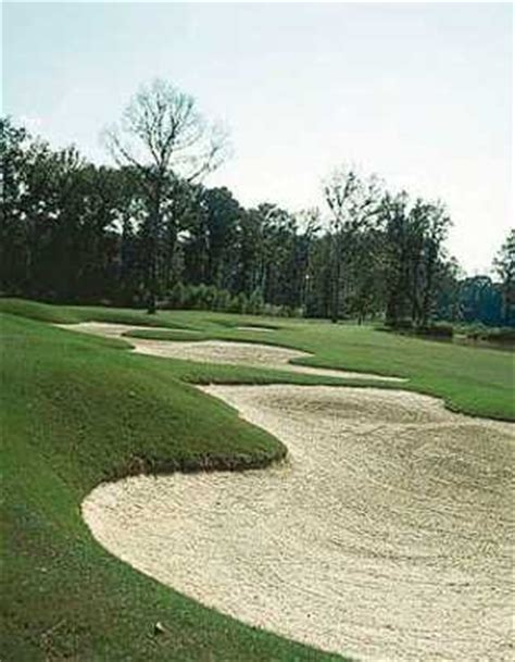 the-bear-course-at-castlewoods-golf-club