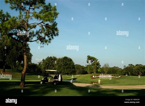 the-copperhead-course-at-westin-innisbrook-resort