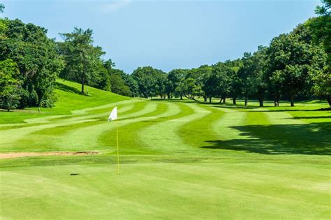 three-oaks-par-3-golf-course