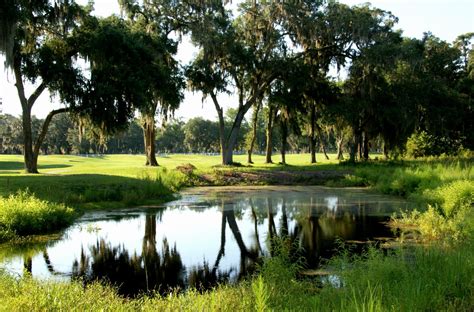 sapelo-hammock-golf-club